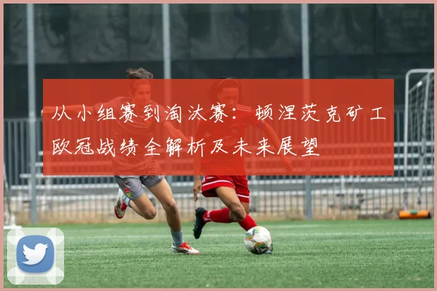 从小组赛到淘汰赛：顿涅茨克矿工欧冠战绩全解析及未来展望