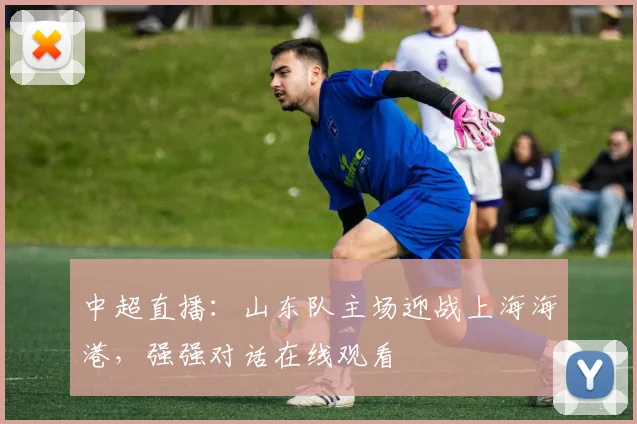 中超直播：山东队主场迎战上海海港，强强对话在线观看