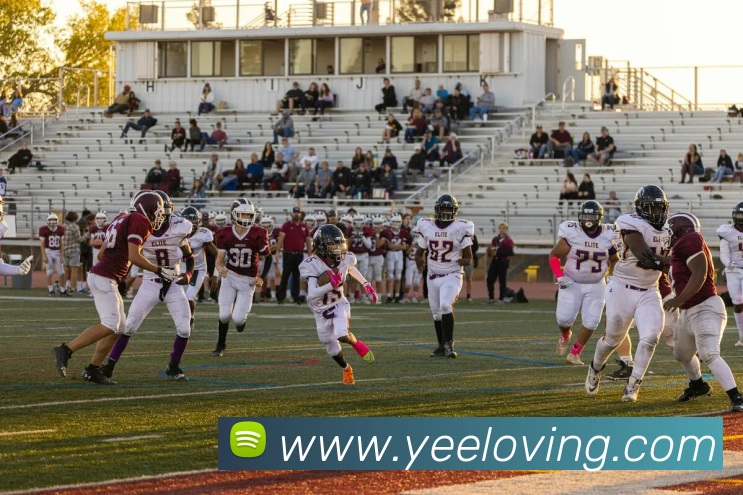 果动体育官网平台生态图