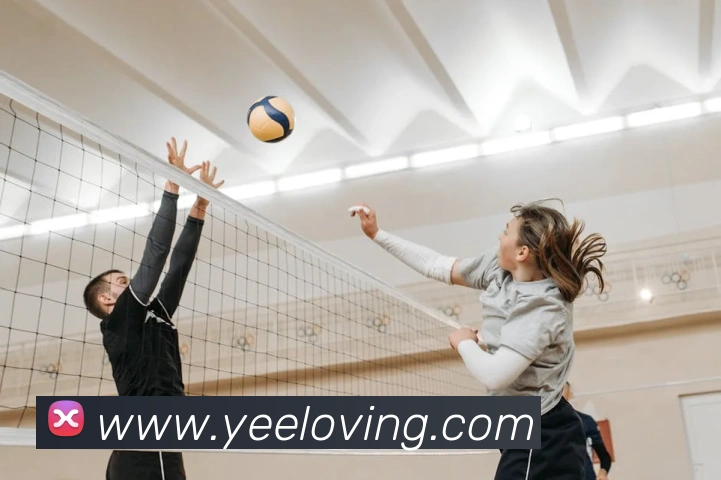 果动体育官网APP 封面图